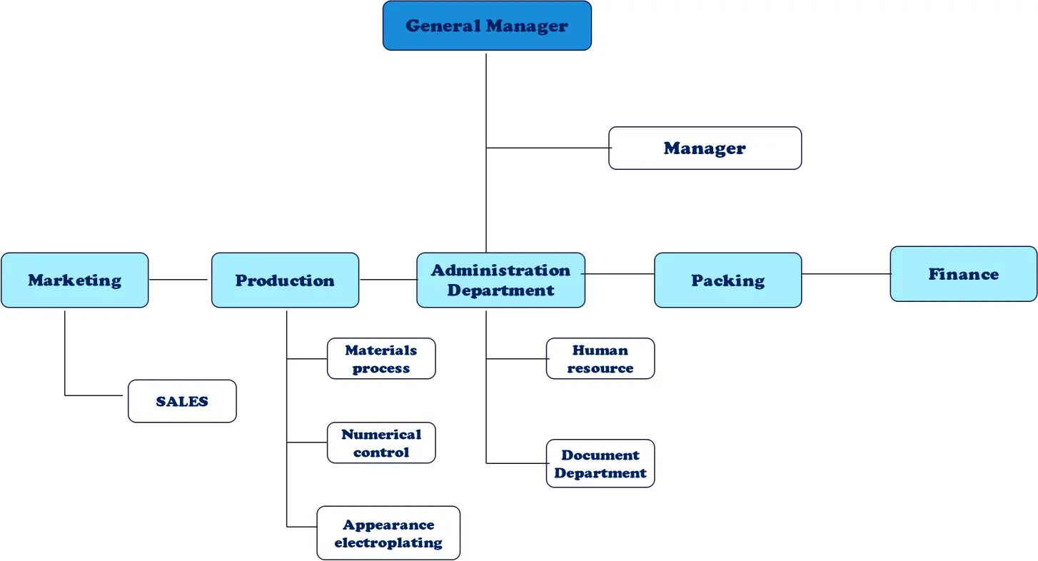 Company Structure